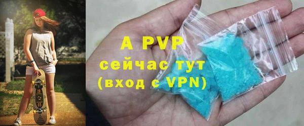 индика Протвино