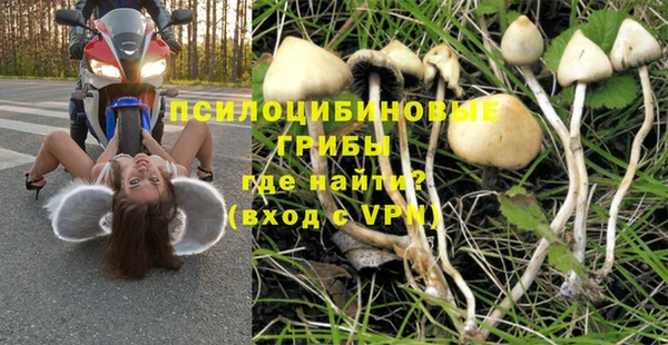 ПСИЛОЦИБИНОВЫЕ ГРИБЫ Аркадак