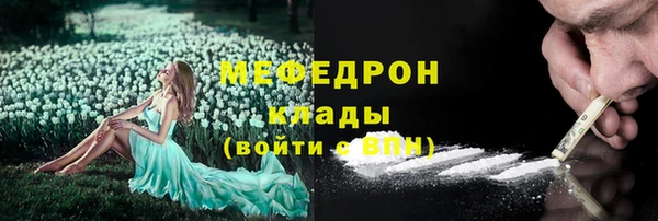 индика Протвино
